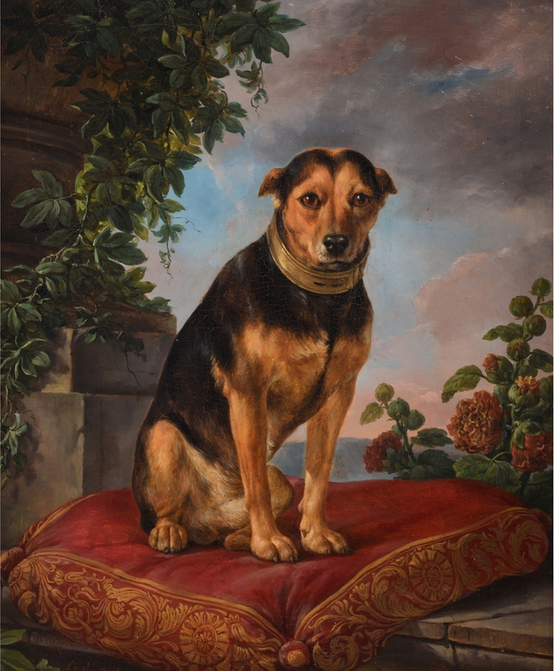 Hand-painted oil portrait of Bella the dog